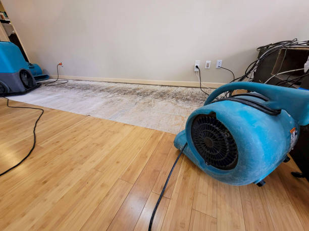 Professional Water Damage Repair technician working in Paradise Valley, AZ